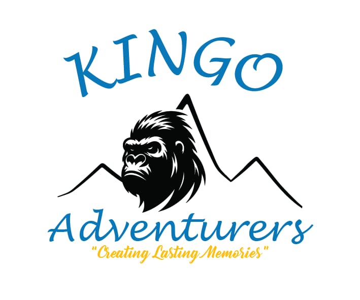 Kingo Adventurers
